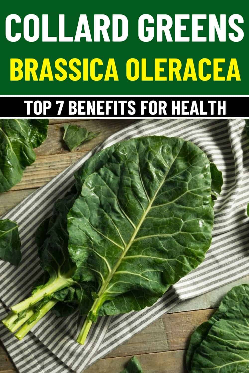 7 Amazing Health Benefits of Collard Greens You Can’t Ignore