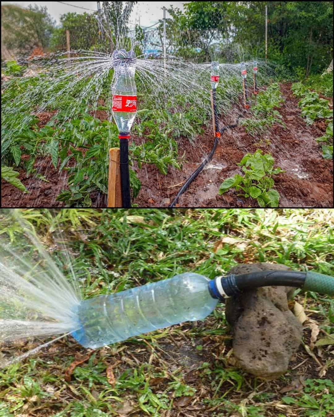 How to Turn Plastic Bottles Into a DIY Rotating Irrigation System