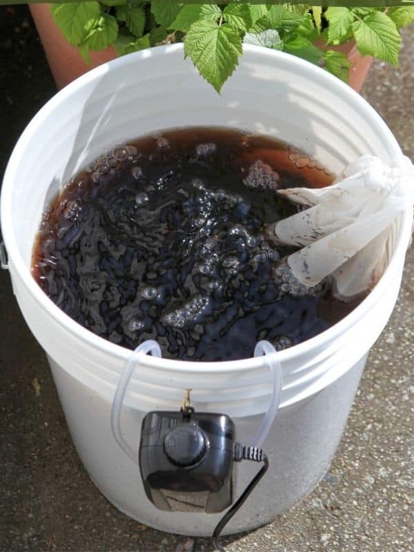 How to Make The Best Homemade Compost Tea Fast And Effectively