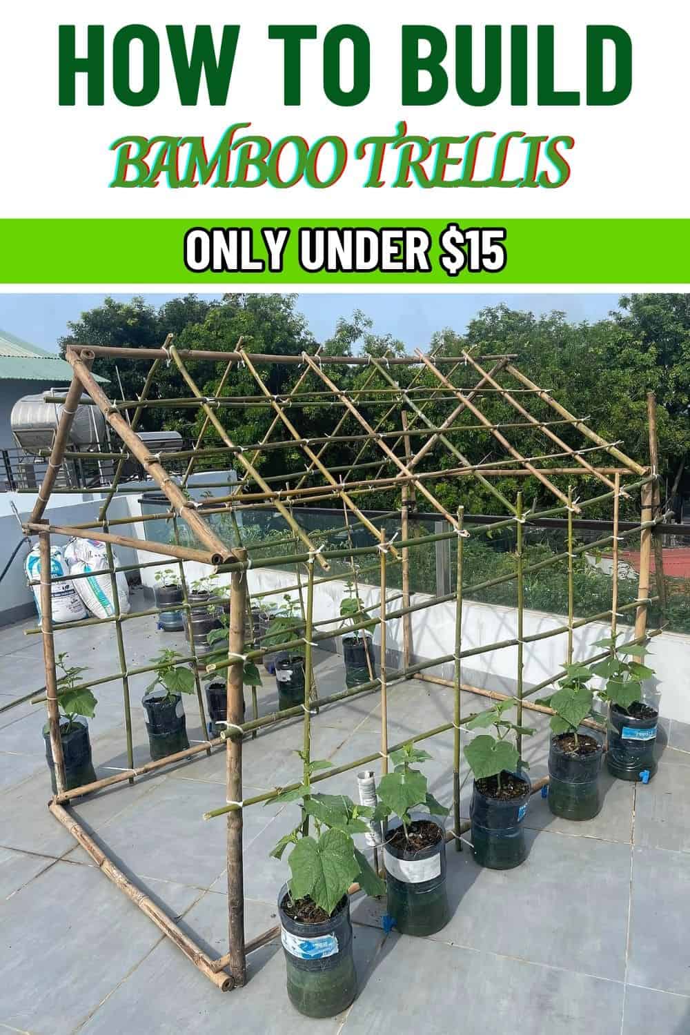 DIY Guide to Building a Bamboo Trellis for Cucumber Plants