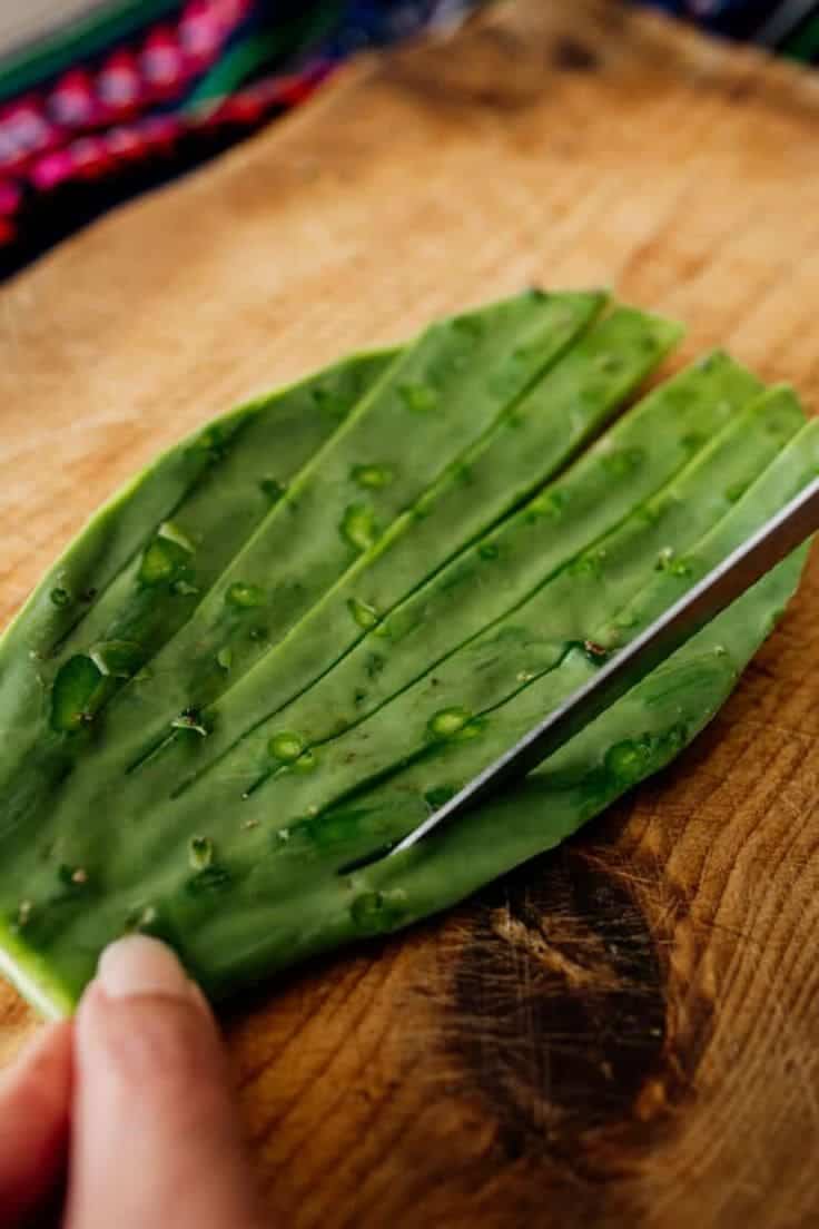 9 Amazing Health Benefits of Nopal Cactus You Need to Know