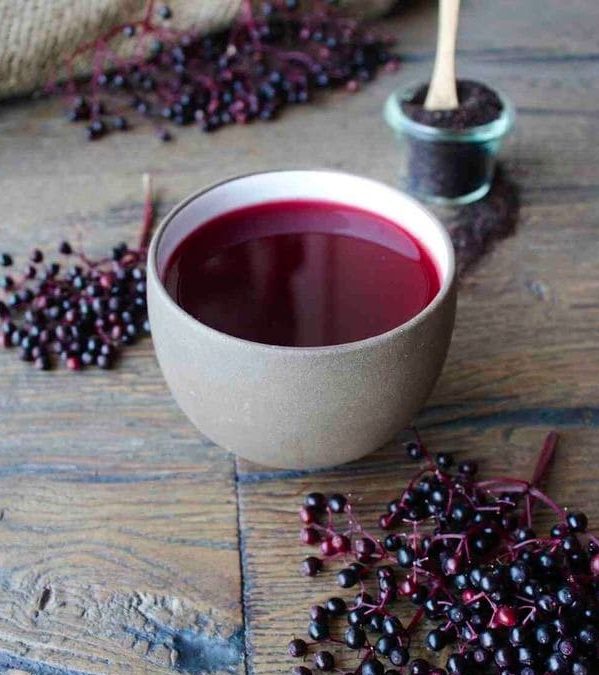 Do You Know Elderberry Can Combat the Flu Virus?