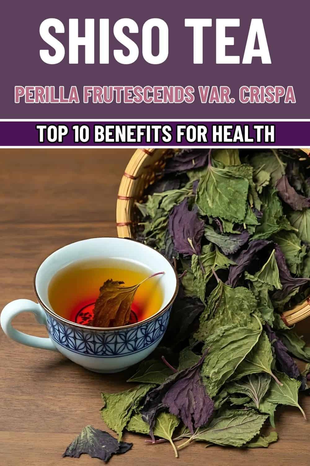 Explore Top 10 Amazing Health Benefits of Shiso Tea