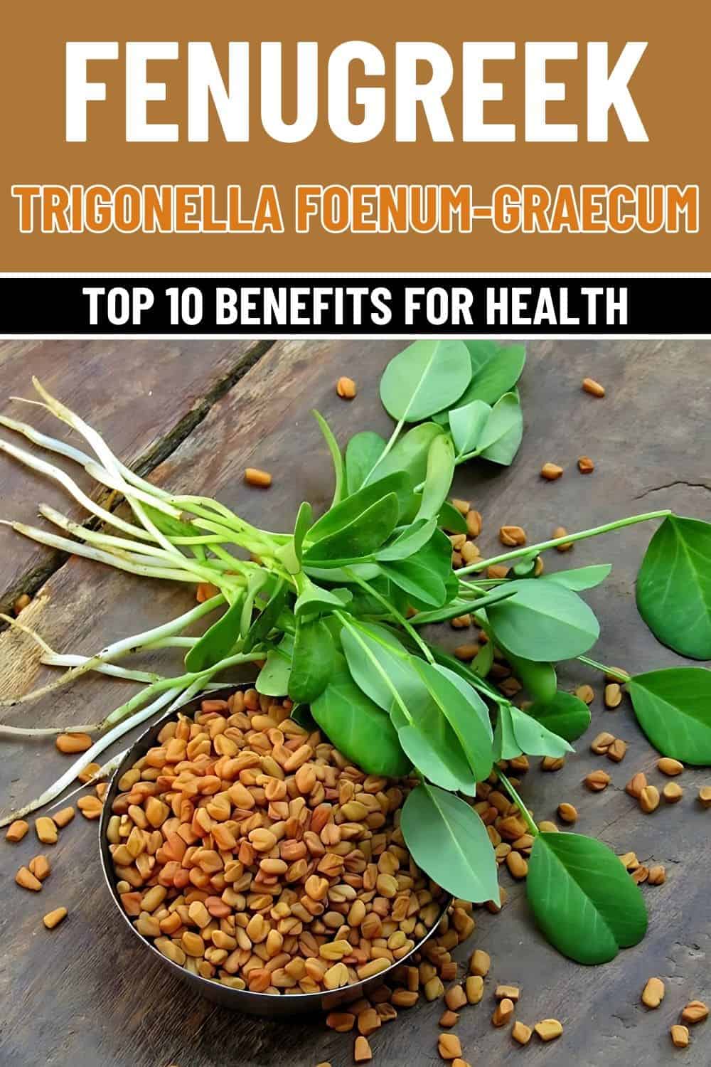 Fenugreek A Nutritional Powerhouse With 10 Incredible Health BenefitsFenugreek A Nutritional Powerhouse With 10 Incredible Health Benefits