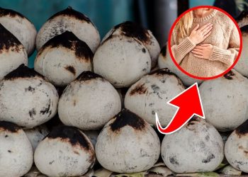 Do You Know Grilled Coconut Is a Surprising Remedy for Stomach Pain?