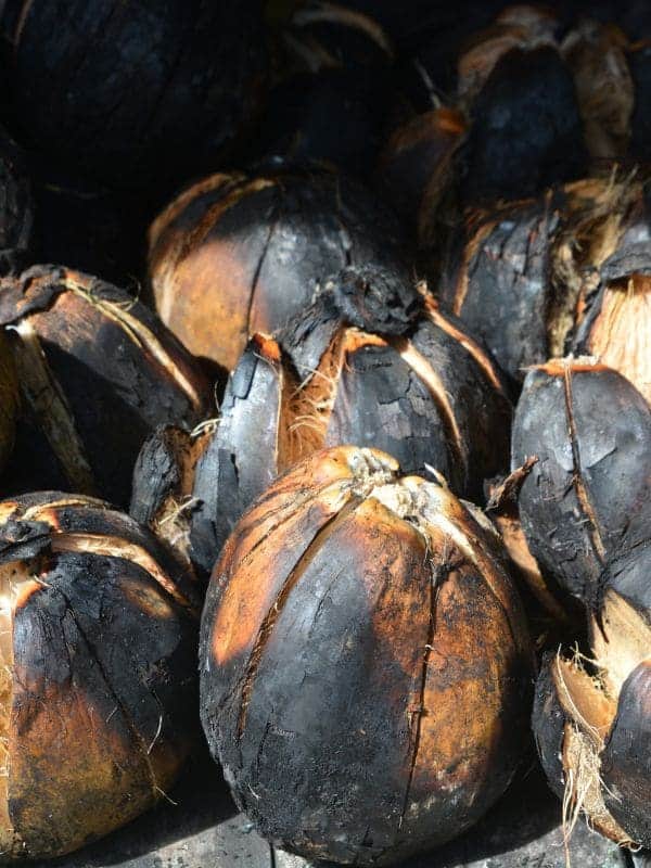 Do You Know Grilled Coconut Is a Surprising Remedy for Stomach Pain?