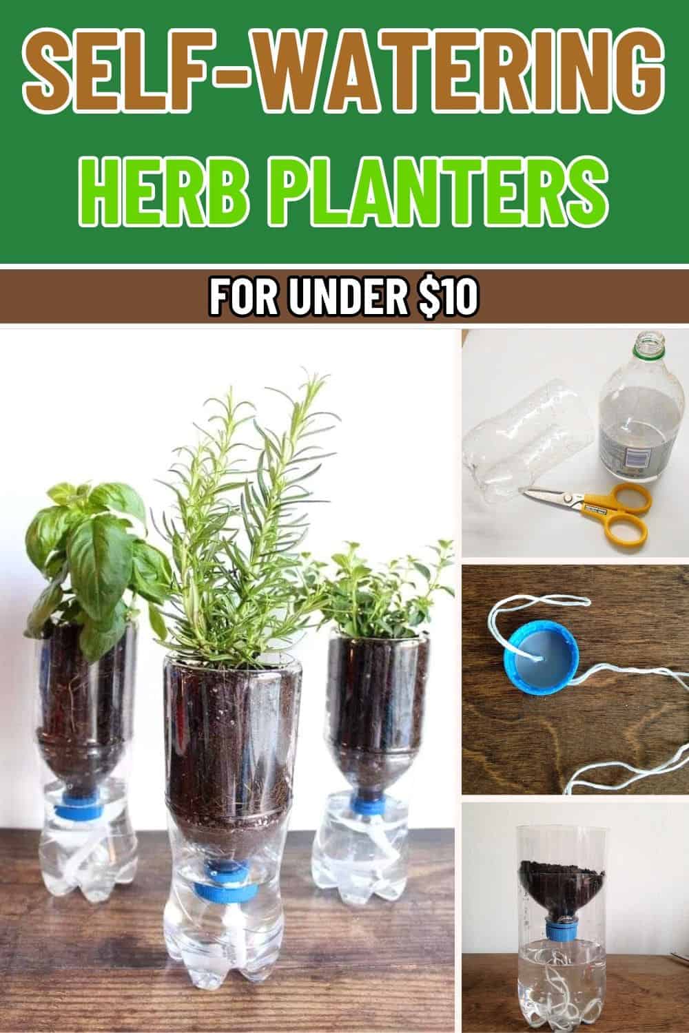 Guide to Making Self-Watering Herb Planters For Under 10