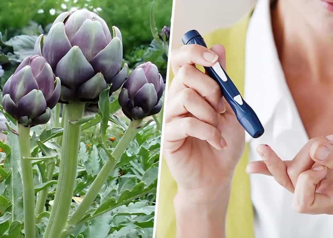 9 Remarkable Health Benefits of Artichoke You Should Not Overlook