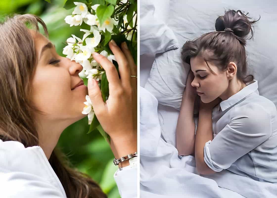 Discover Top 8 Amazing Health Benefits of Night Jasmine