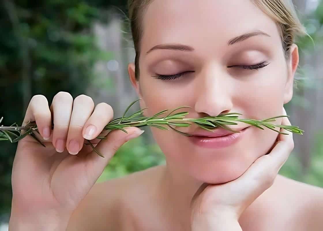 7 Powerful Health Benefits of Rosemary to Boost Your Well-Being