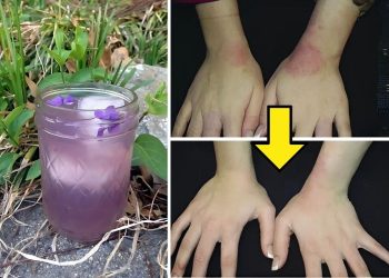 8 Remarkable Health Benefits of Wild Violet You Might Be Overlooking