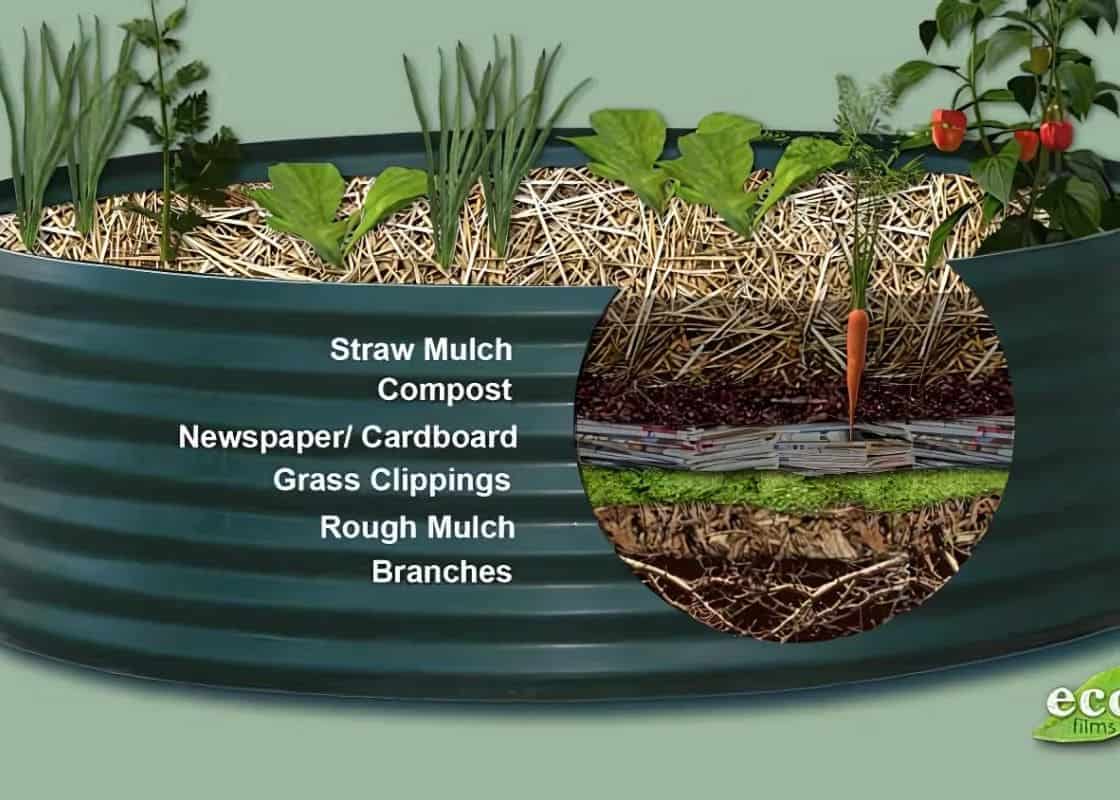 How to Build a Lasagna Garden Bed: A Simple Guide for Gardeners