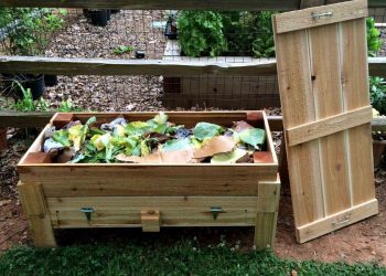 How to Build a Homemade Vermicomposter: A Step-by-Step Guide for Beginners How to Build a Homemade Vermicomposter: A Step-by-Step Guide for Beginners