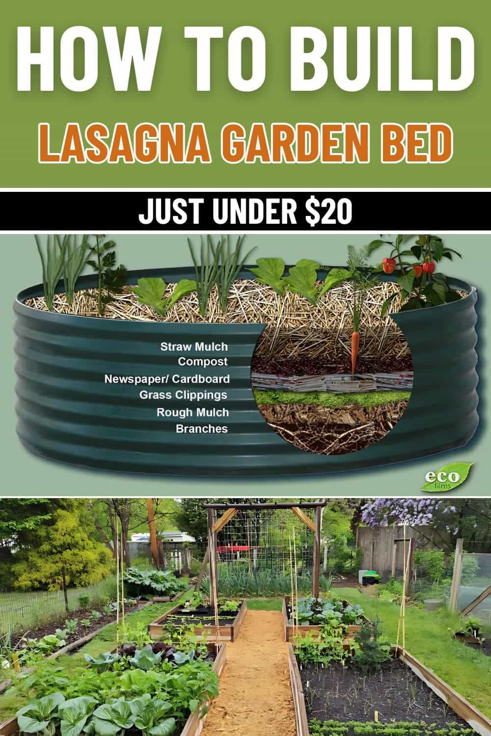 How to Build a Lasagna Garden Bed A Simple Guide for Gardeners