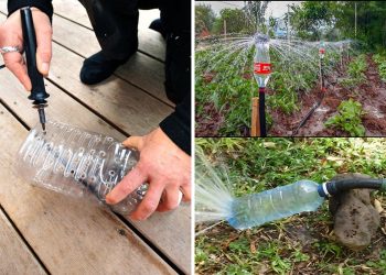 How to Turn Plastic Bottles Into a DIY Rotating Irrigation System How to Turn Plastic Bottles Into a DIY Rotating Irrigation System