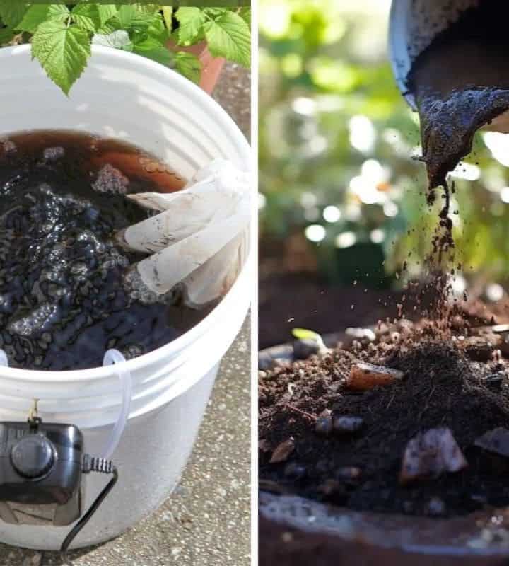 How to Make The Best Homemade Compost Tea Fast And Effectively