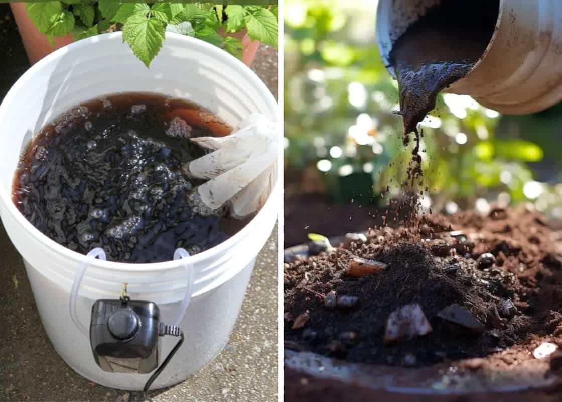 How to Make The Best Homemade Compost Tea Fast And Effectively