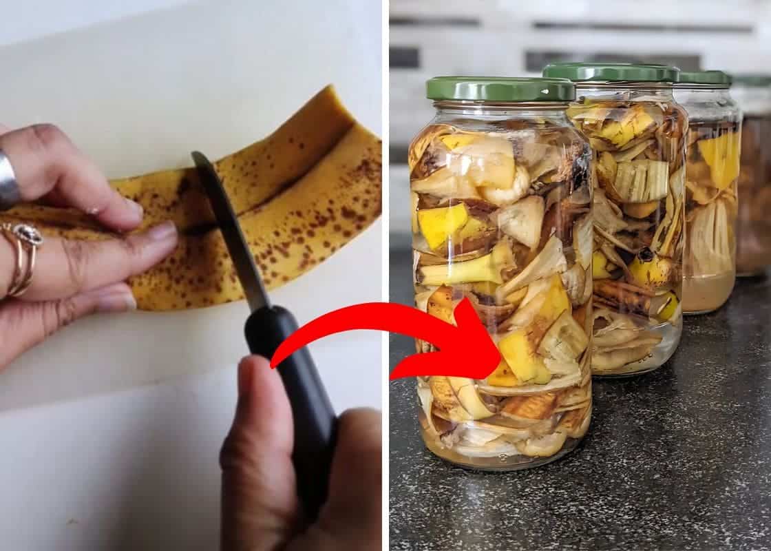 How to Transform Banana Peels into Powerful Homemade Fertilizer In Just 5 Steps