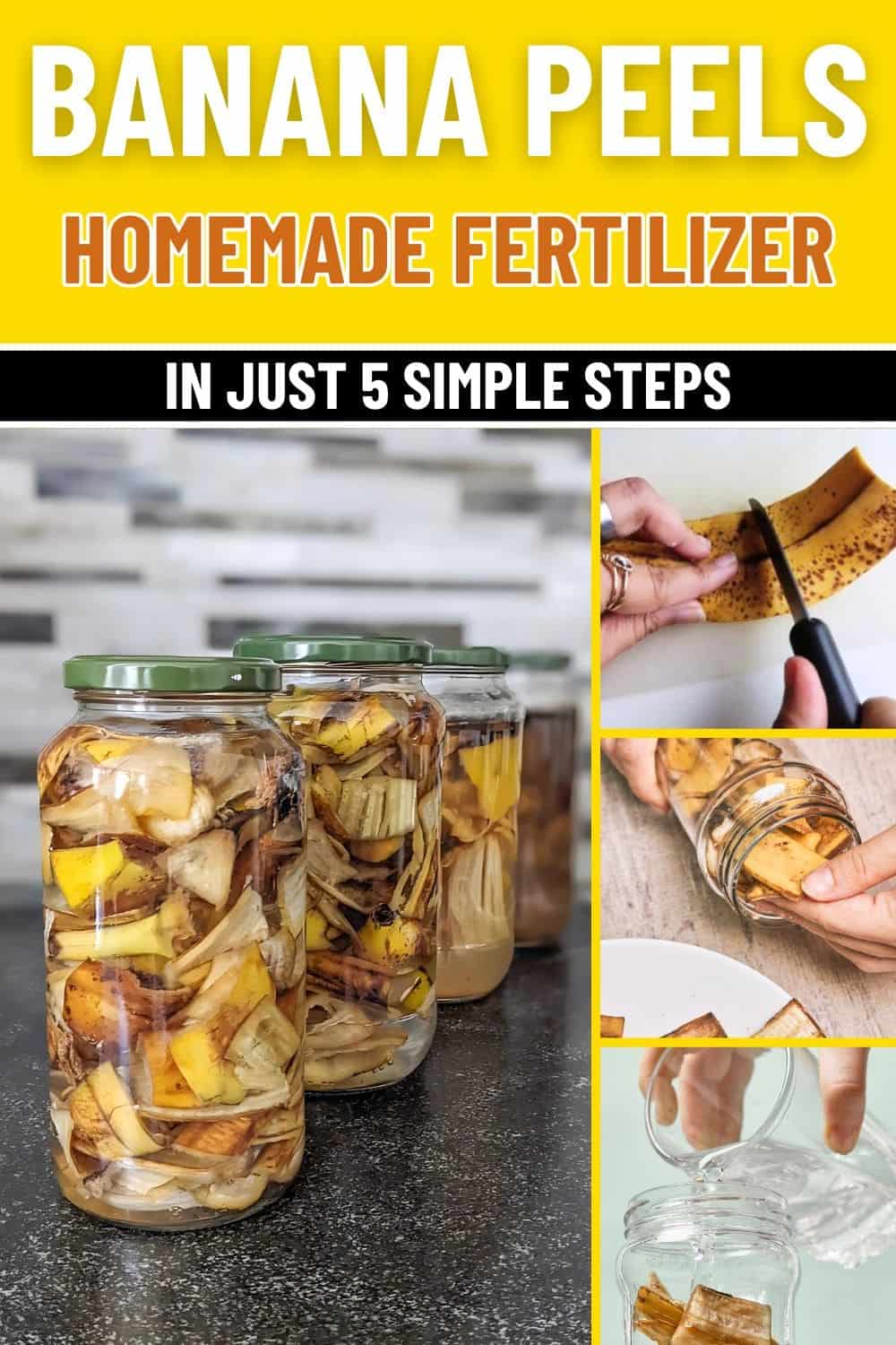 How to Transform Banana Peels into Powerful Homemade Fertilizer In Just 5 Steps