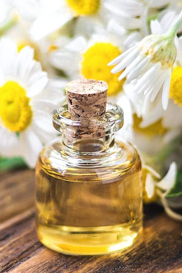 How Chamomile Enhances Digestive Health: A Natural Remedy Backed by Science