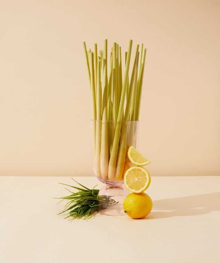 Can Lemongrass Truly Transform Your Health?