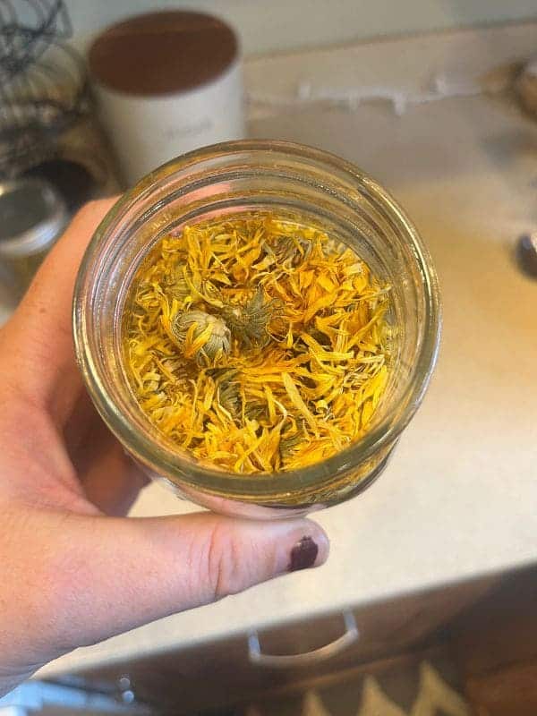 Top 10 Amazing Health Benefits of Calendula As The Garden’s Gift