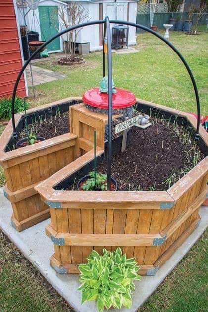 The Complete Guide to Building and Growing a Keyhole Garden