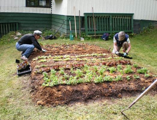 The Ultimate Guide to No-Till Gardening for Healthier Soil and Happier Plants