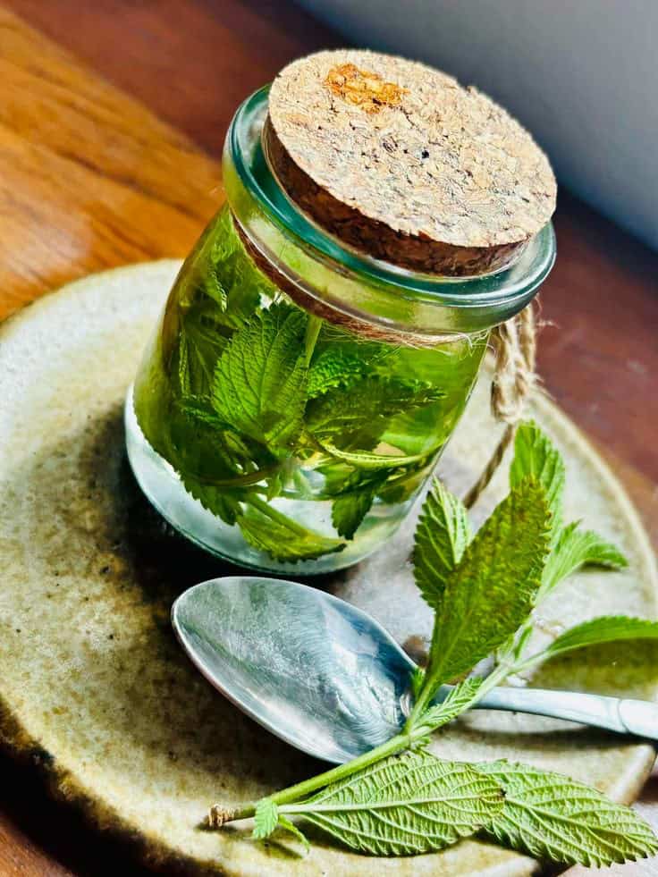 8 Remarkable Health Benefits of Lemon Verbena You’ll Love