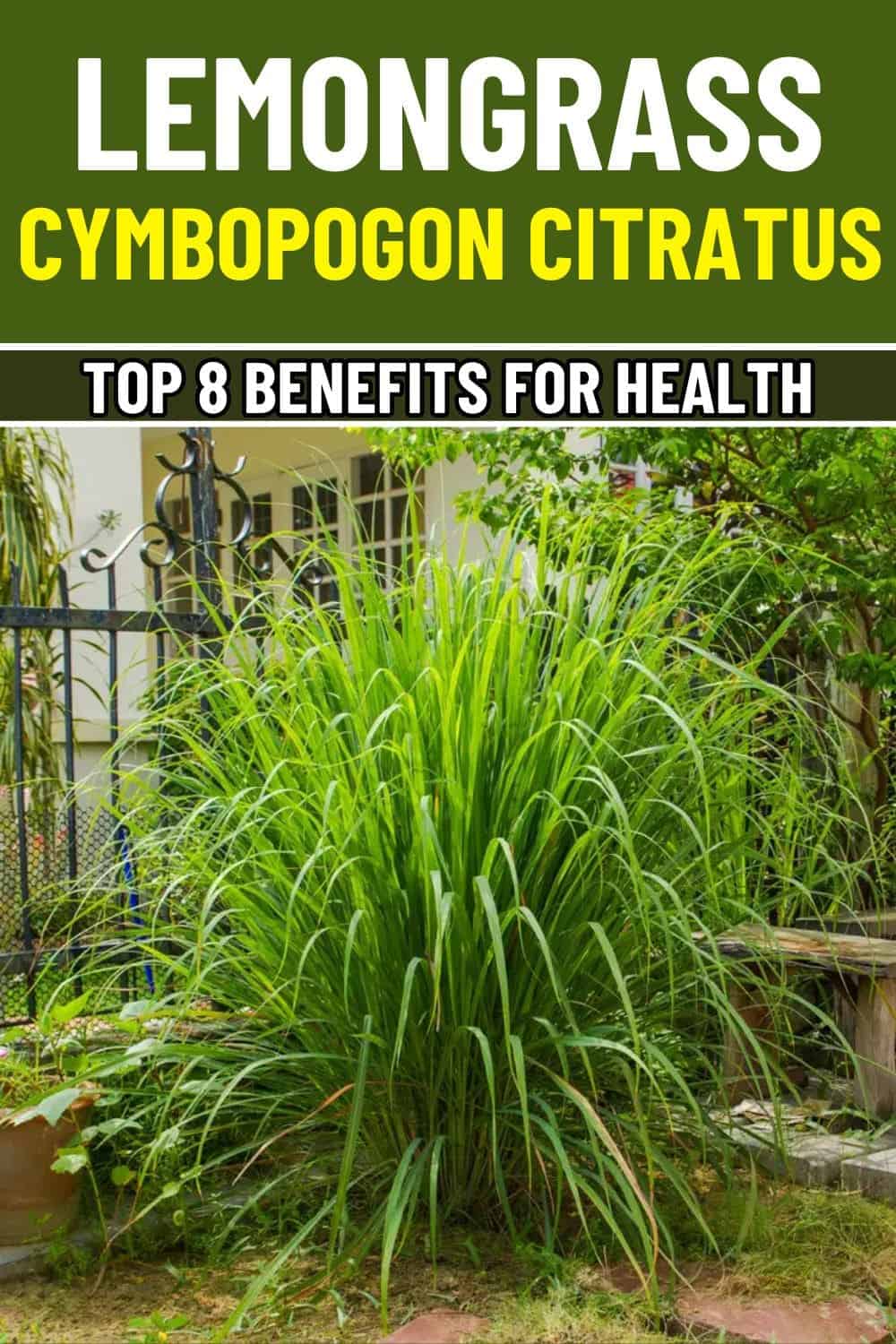 Can Lemongrass Truly Transform Your Health?