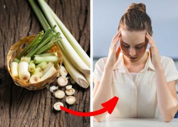 Can Lemongrass Truly Transform Your Health?
