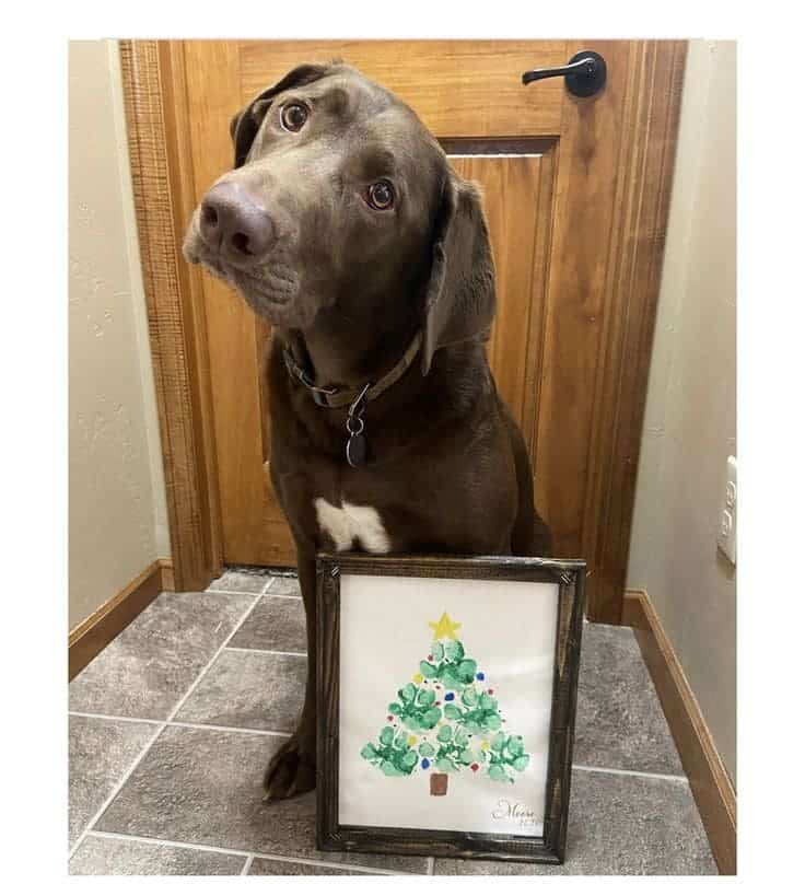 4 Easy Steps to Create a Cherished Paw Print Christmas Tree Keepsake