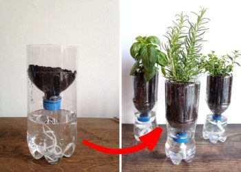 Guide to Making Self-Watering Herb Planters For Under $10