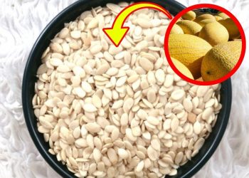 Don’t Toss Melon Seeds! Discover These 7 Health Benefits and How to Use Them