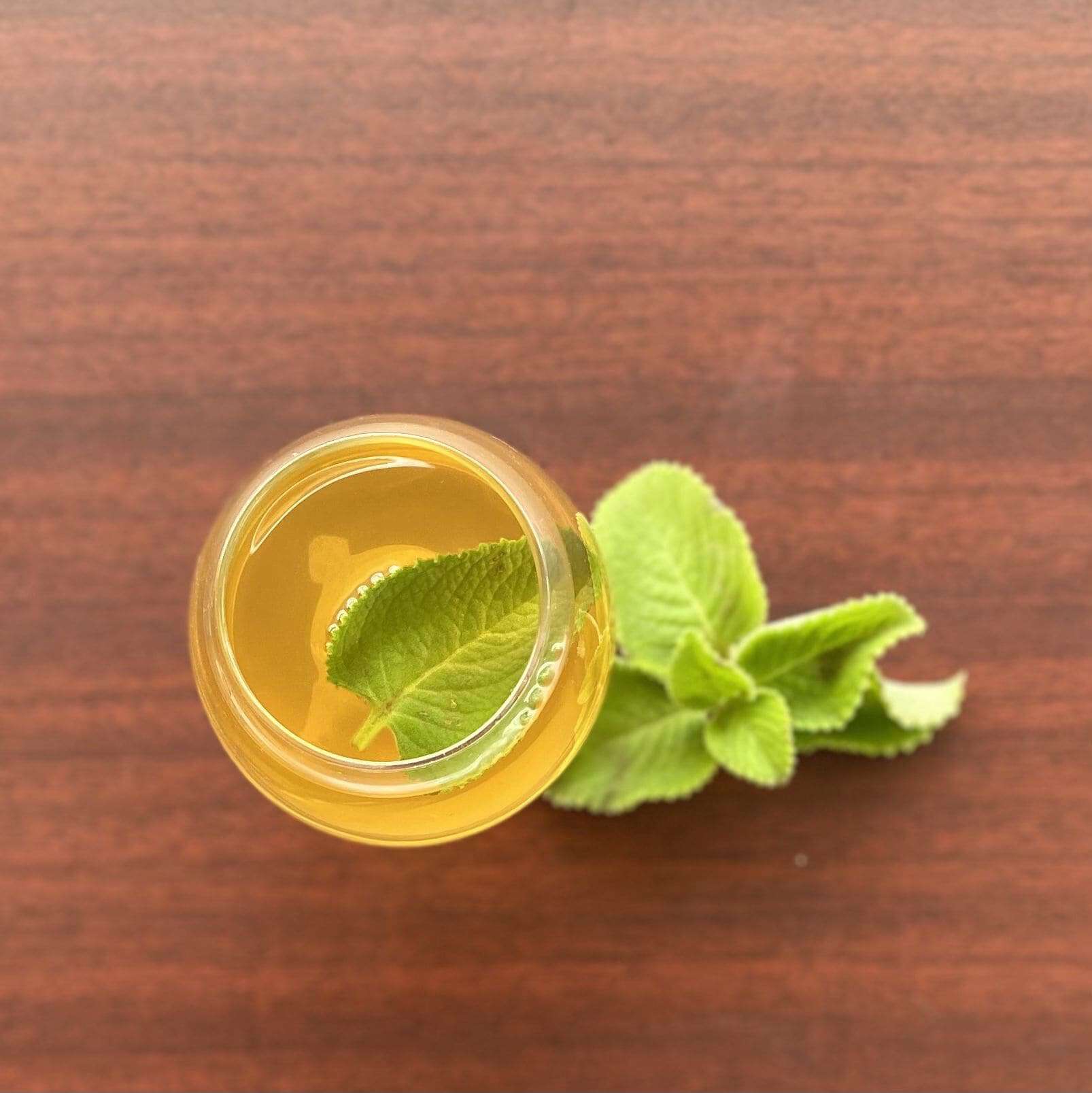 3 Powerful Ways Thick Leaf Mint Can Soothe Your Cough Naturally