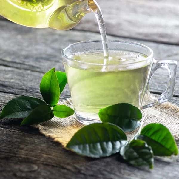 3 Powerful Ways Thick Leaf Mint Can Soothe Your Cough Naturally