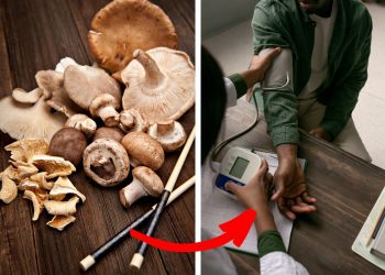 8 Science-Backed Reasons to Eat Mushrooms for Better Health
