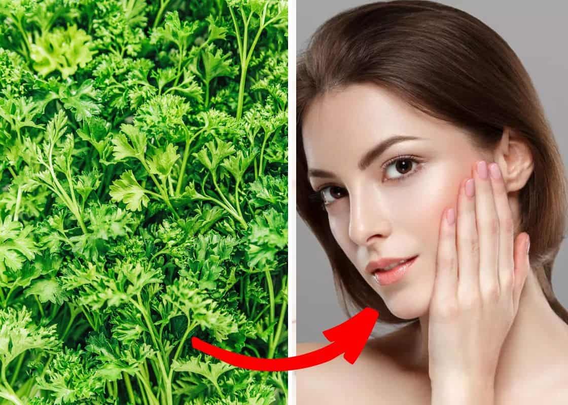 Can Parsley Truly Erase Wrinkles? Discover Its Surprising Anti-Aging and Health Benefits!