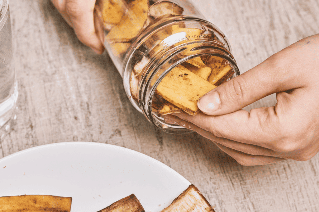 So verwandeln Sie Bananenschalen in nur 5 Schritten in wirksamen selbstgemachten Dünger