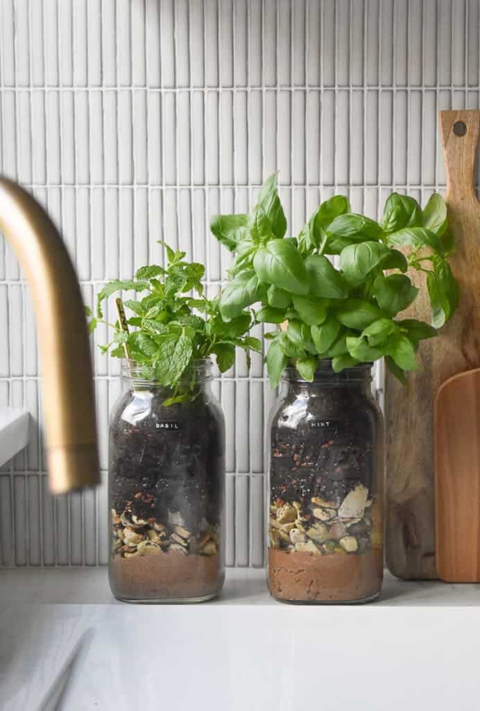 5 Easy Steps to Build Your Own Mason Jar Herb Garden at Home