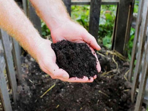 How to Build a Lasagna Garden Bed: A Simple Guide for Gardeners