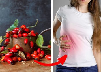 7 Reasons Rose Hip is a Must-Have in Your Wellness Routine