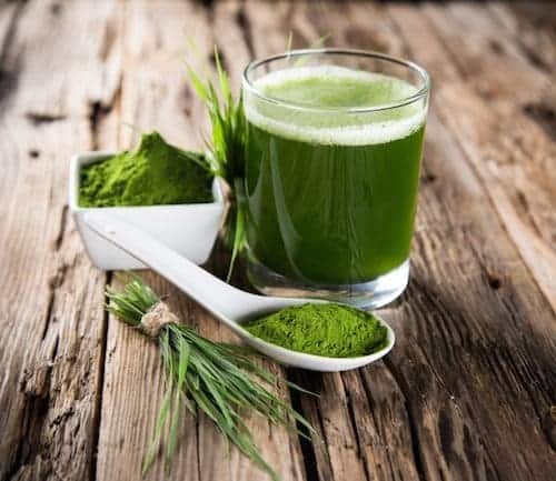 The 8 Amazing Health Benefits of Barley Grass You Need to Know