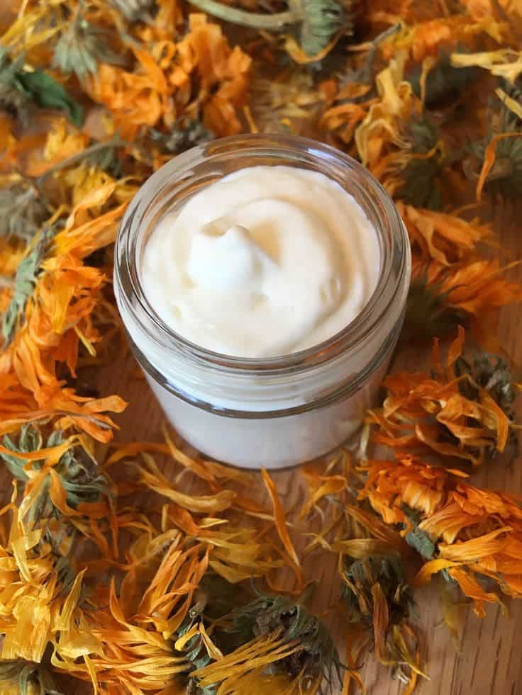 Top 10 Amazing Health Benefits of Calendula As The Garden’s Gift