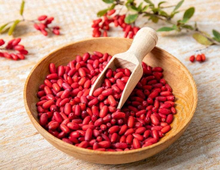 Top 8 Impressive Medical Uses of Barberry You Should Know