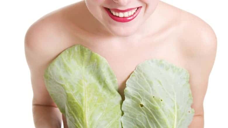 Top 7 Health Benefits of Cabbage Leaves For Skin, Heart And More