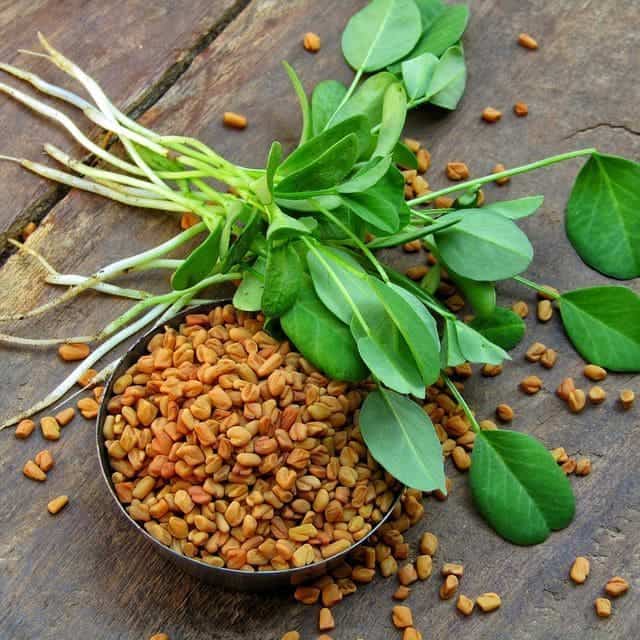 Fenugreek: A Nutritional Powerhouse With 10 Incredible Health Benefits