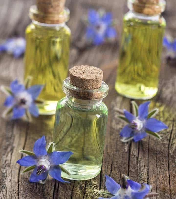 Borage: A Nature’s Versatile Herb With 9 Health Benefits