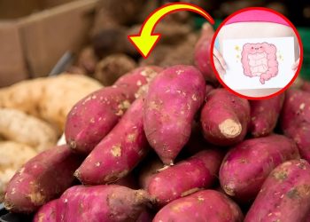 7 Surprising Health Benefits of Sweet Potatoes You Need to Try