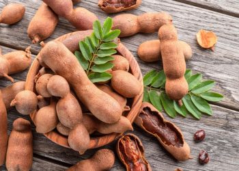 7 Powerful Reasons to Add Tamarind to Your Diet Now